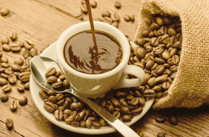 Café Villa Sarchí 2